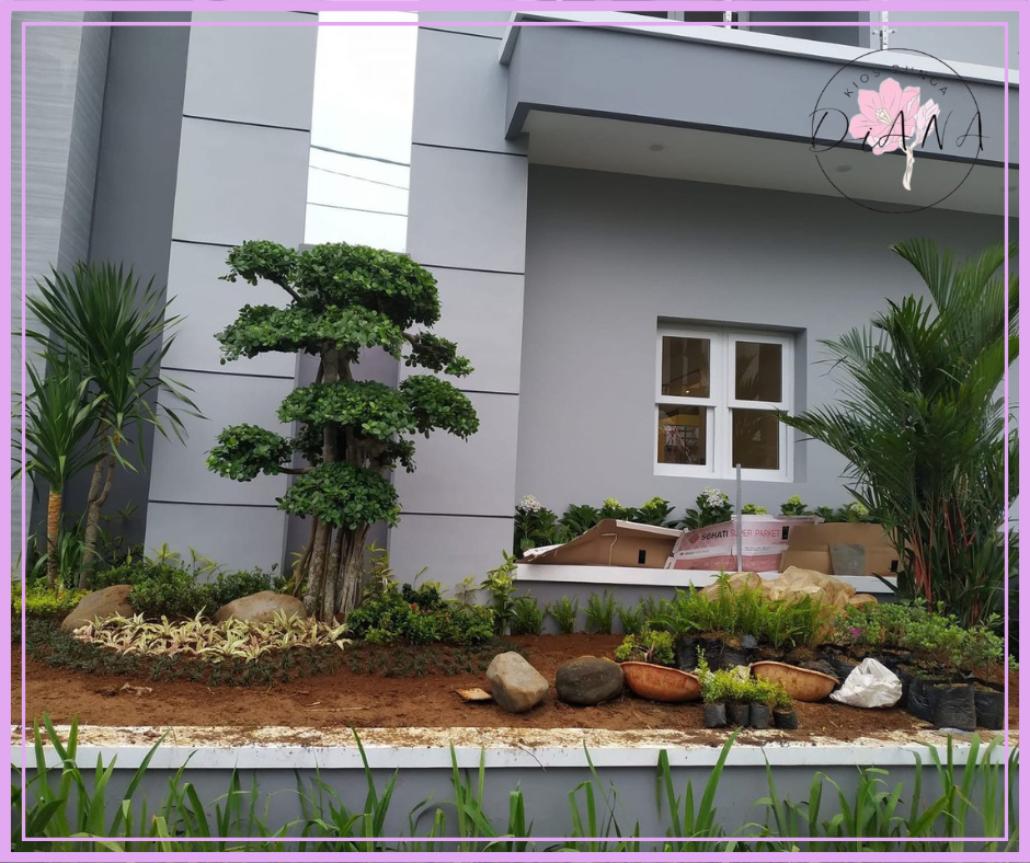 Taman Depan Rumah Estetik