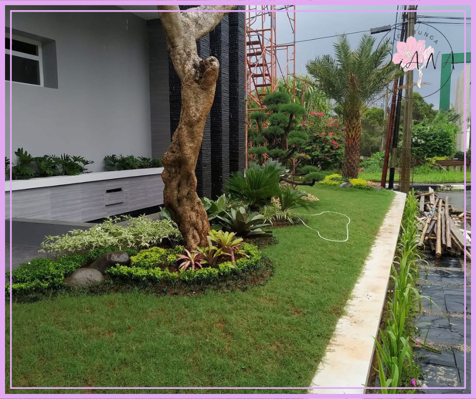 Jasa buat taman di Sukabumi dengan tanaman hias yang rimbun