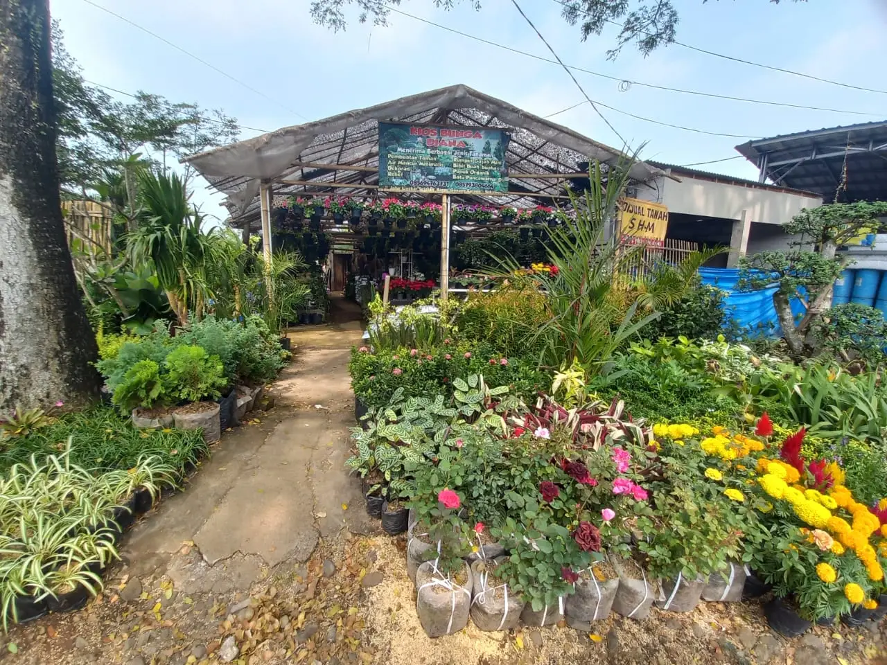 Kenapa Pilih Kios Bunga Diana